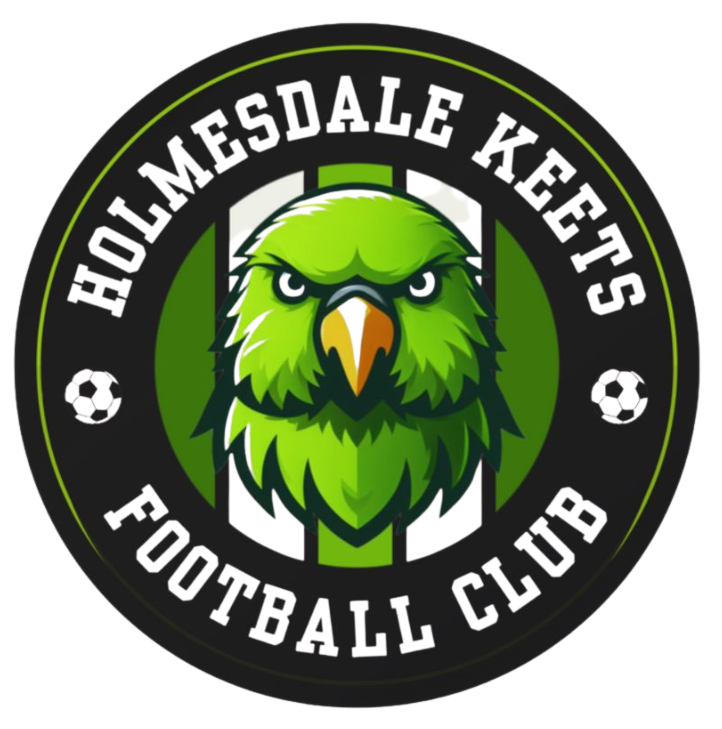 Holmesdale Keets FC South London’s #1 Women’s Football team